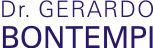 Dr Gerardo Bontempi